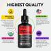 Organic Vitamin B12 Liquid Drops - Methylcobalamin 5000 mcg Sublingual - Organic B 12 Methylated for Women & Men - Vegan Vit B12 for Energy Brain & Nerve System Support (under tongue use) - 2 fl oz 2 Fl Oz (Pack of 1) - Buy Online on GoSupps.com