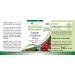 Fairvital Uva Ursi Extract 500mg | High Dose Bearberry Leaf - 20% Arbutin - Vegan - 90 Capsules - International Shipping Available - Buy Online on GoSupps.com