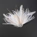 Anglacesmade Bridal 1920s Flapper Feather Hair Clip Pin Crystal White Feather Roaring 20s Headpiece Prom Party Festival Gatsby Hair Jewelry for Women and Girls - Buy Online on GoSupps.com