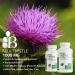 Bronson Milk Thistle 1000mg Capsules - Liver Health & Antioxidant Support - Non-GMO - 120ct (1 Pack) - Buy Online on GoSupps.com