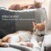 Reflective Airtag Cat Neck Band | Leather GPS Tracker with Apple Airtag Holder & Bell | Pink | Fits Young Cats 9-13 Inch (23-33cm) - Fast International Shipping - Buy Online on GoSupps.com