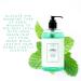 Buy Vitabath Cool Spearmint & Thyme Hand Soap - Nourishing Cleansing Moisturizing 16 oz | Cruelty-Free Gluten-Free Paraben-Free - International Shipping Available - Buy Online on GoSupps.com