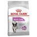 ROYAL CANIN Mini Relax Care - 3 kg