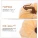 Ciieeo 10 Pcs Flannel Foam Pumpkin Fall Wedding Decor Decorative Fabric Pumpkins Harvest Pumpkins Ornament Halloween Garland Decor Faux Pumpkins Home Decor Simulation Pumpkin Autumn Set - Buy Online on GoSupps.com