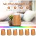 Muson Sound Machine Diffuser - Wood Grain Vase Shape | Essential Oil Humidifier with Soothing Music & 7 Color Lights - Buy Online on GoSupps.com