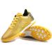 Sainilei Children Soccer Shoes - Boys FG/AG Outdoor Football Shoes & Men's TF Professional Training Shoes 30 EU S2325TF GOLD - Buy Online on GoSupps.com