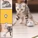 Interactive Cat Toy Lifelike Automatic Moving Mouse Cat Toy with Furry Tail USB Rechargeable Electronic Cat Mouse Toy Kitten Toys Moving Mouse Catch Toy for Indoor Cats - Buy Online on GoSupps.com