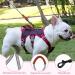 Multi-Purpose Dog Harness & Leash Set - Outbreak-Proof Anti-Train Safety Harness for Small & Medium Dogs (Pink M) - Buy Online on GoSupps.com
