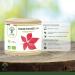 Vigne rouge Bio - Compl ment alimentaire Bioptimal - Jambes Lourdes Peau Saine Circulation Sanguine H morro des - 300 mg de Feuille de Vigne x g lule - Made in France - Certifi Ecocert - 60 g lules 60 unit (Lot de 1) - Buy Online on GoSupps.com