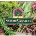 Natural's Answer Black Elderberry Sambucus Alcohol-Free Vegan 12 000 mg 120 ml - Buy Online on GoSupps.com