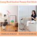 GIAPINST Interactive Cat Feather Toy with Bell - Suction Cup Teaser Wand for Indoor Cats. Ideal for Kitten Training, Play and Exercise - Brown - Buy Online on GoSupps.com