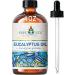 EVOKE OCCU Vetiver Essential Oil and Eucalyptus Essential Oil - 4 Fl Oz - Buy Online on GoSupps.com