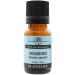Plantlife Spearmint Aromatherapy Essential Oil - Straight from The Plant 100% Pure Therapeutic Grade - No Additives or Fillers - 10 ml