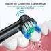 REDTRON 16-Pack Replacement Brush Heads for Oral B Electric Toothbrushes - Compatible with Precision Clean Toothbrushes - Fits Pro1000, Pro3000, Pro5000, Pro7000 and More - Black - Buy Online on GoSupps.com