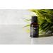 Premium Quality Celery Seed Essential Oil (0.5 Fl Oz) - Batch Tested & Third-Party Verified for Trustworthy Results - Buy Online on GoSupps.com