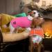 Queenmore Dog Winter Coat | Cold Weather Fleece Jacket for Small, Medium, and Large Dogs | Waterproof, Reflective, Reversible - Small Pink - Buy Online on GoSupps.com