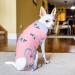 Pumyporeity Recovery Suit for Dogs - Postoperative Protection Wound Care & Anti-Licking | XXL Pink Cactus - Buy Online on GoSupps.com