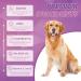 Omega 3 for Dogs Fish Oil for Dogs DHA & EPA Dog Fish Oil Omega 3 Skin Coat Supplement Dog Fish Oil Itchy Skin Allergy Relief 200 Tablets Omega 3 Fish Oil for Dogs Omega 3 Fish Oil Chews for Dogs - Buy Online on GoSupps.com