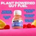 MOJU Gut Health Raspberry Shots - 12x60ml Prebiotic Natural Ingredients Dairy Free No Added Sugars or Sweeteners Vegan Raspberry 12 x 60ml Shots - Buy Online on GoSupps.com
