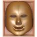 Shop Light Therapy Golden Face Treatment Device Mask - Revitalize Skin & Enhance Glow | International Shipping Available - Buy Online on GoSupps.com