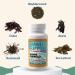Maine Coast Sea Vegetables Seaweed Support Iodine Formula | Source of Iodine from Seaweed | Daily Use Iodine Supplement | Organic Alaria Rockweed Sea Lettuce Dulse & Bladderwrack blend | 60 Capsule - Buy Online on GoSupps.com