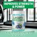 Creatine Monohydrate Gummies 5000mg - Chewable Supplement for Men & Women - Blueberry Flavor (120 Count) - Boost Energy & Muscle Performance - Buy Online on GoSupps.com