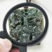 Mini Size Magnifier10X Magnifying 55 MM Folding Magnifier Glass Lens Loupe with Rotating Protective Holster for Reading Aid Maps Photographs Documents Lanyard Type - Buy Online on GoSupps.com