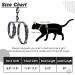PUPTECK Cat Harness and Leash Set - Escape Proof Adjustable for Small Cats and Puppies - Dark Grey - Buy Online on GoSupps.com