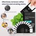 Teeth Whitening Strips - 28PC Professional Teeth Bleaching Strips for 14 Sessions | Reduces Sensitivity & Removes Stains | Black1 - Buy Online on GoSupps.com