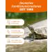 Petifool Koi Exquisit 1kg - Premium Dried Feed Mix for Water Turtles & Fish | Silk Cocks Shrimp & Gammarus - Natural Nutrition - Buy Online on GoSupps.com