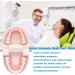 Dytah Orthodontic Demonstration Model - Teeth Study Model with Metal Arch Wire & Brackets for Effective Teaching - Buy Online on GoSupps.com