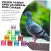 Mipcase 300 pcs Pigeon D Distinguish Private Tool Bands- Lovebirds Ringd Pigeons Homing - Marker Place 1.1x0.8cm x3pcs Colorfulx3pcs - Buy Online on GoSupps.com