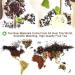 Plant Gift Peppermint Rooibos Tea Oganic Fruit Herbal Tea All Natural Flavors Loose Leaf Non GMO Vegan Tea Bags Into Iced Tea & Hot Tea 70G/2.5oz - Buy Online on GoSupps.com