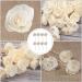 Cabilock Aroma Sticks Diffuser Set - 8 Replacement Rattan Sticks for Essential Oil & Aromatherapy - Wood Fragrance Diffuser with Artificial Flower Head - Buy Online on GoSupps.com