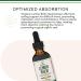 Double Wood Supplements Organic Lemon Balm Tincture - for Digestion & Relaxation 590mg - 2FL OZ 120 Servings (Better Absorbed Than Capsules Great for Lemon Balm Tea) - Buy Online on GoSupps.com