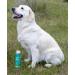 PUREPUP All Natural Calming Dog Shampoo & Conditioner with Lemongrass oil and Chamomile Soothing for Normal Dry Itchy or Allergy Sensitive Skin Long Lasting Natural Scent XXL Package - Buy Online on GoSupps.com