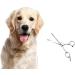Precorn Effy Scissors for Dogs & Cats | High-Quality Toothed Metal Scissors for Gentle Grooming & Thinning | Essential Animal Hair Cutting Accessories - Buy Online on GoSupps.com