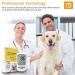 URIT Pet Blood Glucose Meter Kit with 50 Test Strips - Diabetes Monitoring System for Dogs & Cats - Buy Online on GoSupps.com