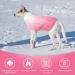 Cit toile Warm Winter Dog Sweater | Soft Knitted Turtleneck Pet Coat | Color Gradient Pink for Small & Medium Pets - Buy Online on GoSupps.com