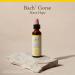 Bach Original Flower Remedies Gorse - Have Hope - Natural Homeopathic Flower Essence for Emotional Balance - Vegan Gluten Free Sugar Free - 20mL Dropper - Buy Online on GoSupps.com