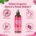 Organic Netra Pure Rose Water Face Toner with Vitamin C Helps to Hydrate The Skin Cleanses and tightens The Open pores -Mist Spray for All Skin Type (200 L Pack of 2) - Buy Online on GoSupps.com