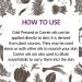 Dev Herbes Pure Black Currant Oil (Ribes Nigrum) - Cold-Pressed Natural Therapeutic Quality - 15ml (0.50 oz) - 1 Pack for Optimal Health - Buy Online on GoSupps.com