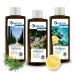 Spitzner sauna infusion set body & mind (3 x 190 ml)-wellness sauna natural sauna oil with aromatic sauna air Cypress-Rosmarin lemonse honey and citrus-mint