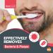 8pk Manual Toothbrush Multipack | Soft Toothbrush for Adults Toothbrushes Multipack Family Toothbrush Pack | Toothbrush Manual | Tooth Brush | Tooth Brushes | Bulk Toothbrushes | Teeth Brushes - Buy Online on GoSupps.com