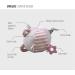 STORKI Developmental Activity Ball Baby Toy - Fun Teether for Boys and Girls (Pink) - Buy Online on GoSupps.com