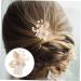 FOYTOKI Gold Leaf Side Comb Hair Comb Bridal Hair Clips Comb for Bridesmaid Comb Clips for Hair Leaf Hair Accessories Hair Side Comb for Women Girl Headpieces for Wedding Women Hair Pin - Buy Online on GoSupps.com