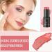 Long Lasting Waterproof Pink Cream Contour Blush Stick for Cheeks & Lips - Multipurpose Makeup for Women - Buy Online on GoSupps.com