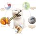 3 Pack Silvervine Cat Toys for Indoor Cats - Interactive Chew Toy for Dental Health & Teething Kittens - Buy Online on GoSupps.com