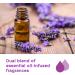 Glade Essential Oil Diffuser Refill Use with Cool Mist Aromatherapy Diffuser Air Freshener for Home Choose Calm Scent with Notes of Lavender & Sandalwood 1 Count - Buy Online on GoSupps.com