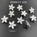 Rhinestone Flower Hair Clips (Pack of 5) - Bridal Wedding Barrettes in White - Crystal Decorative Hair Accessories for Women and Girls - Buy Online on GoSupps.com